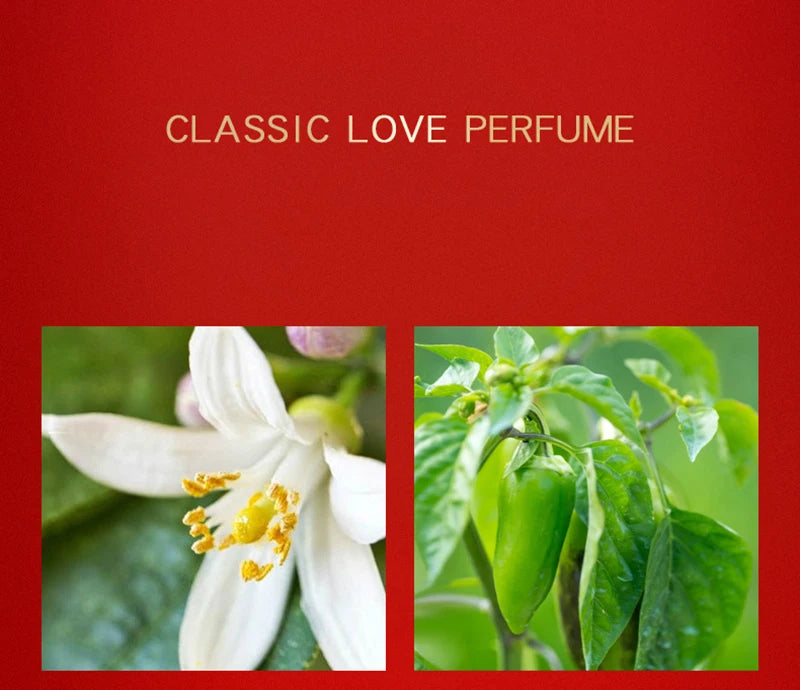 Classic Brand Fresh Light Scent 30ml x 3pcs Eau De Toilette Femme Spray Floral Fruity Notes Lasting Women's Perfume EDT Gift Box